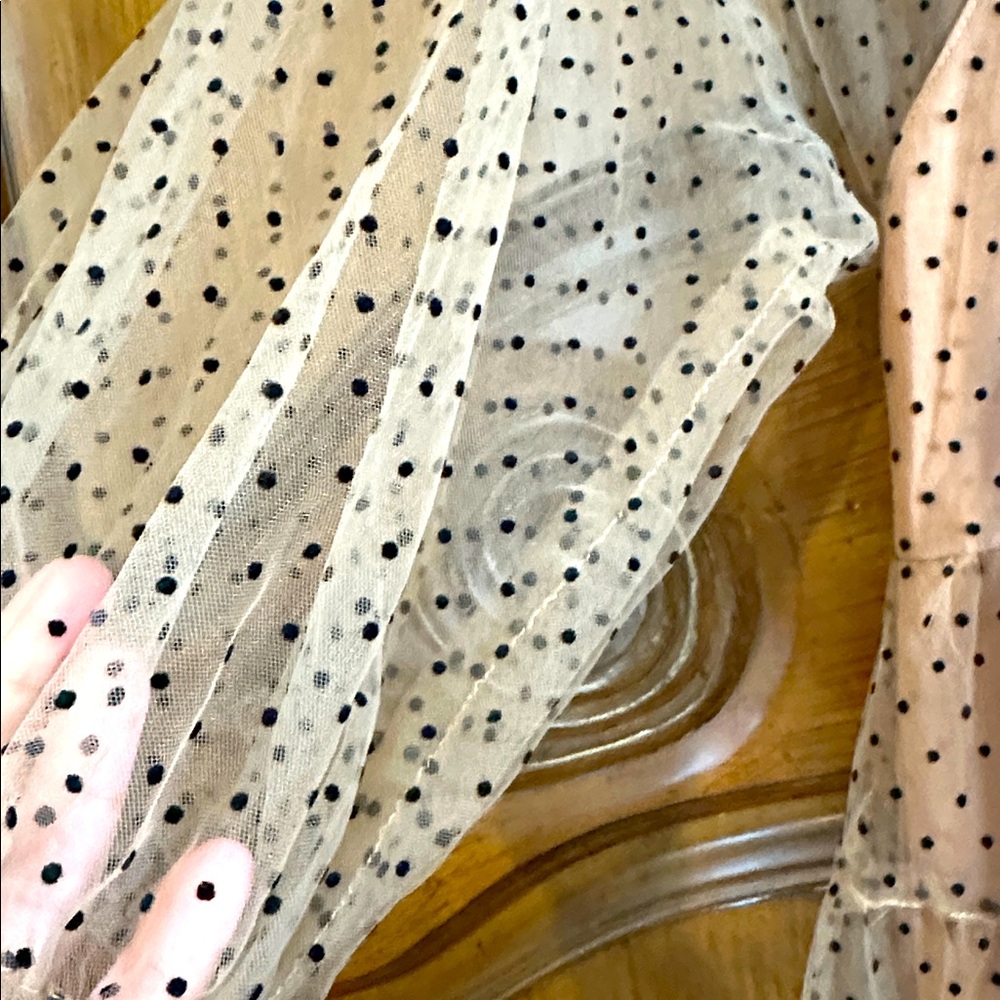 Nude Tulle Black velvet Polka Dot Romantic Retro Mini Dress
Size Large - Picture 10 of 11